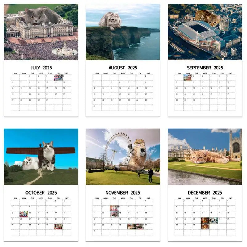Fun Cats Wall Calendar 2025 Urban Big Cat Wall Calendar 12 Month Hangings Cats Rule the Earth Family Planner Vertical Monthly